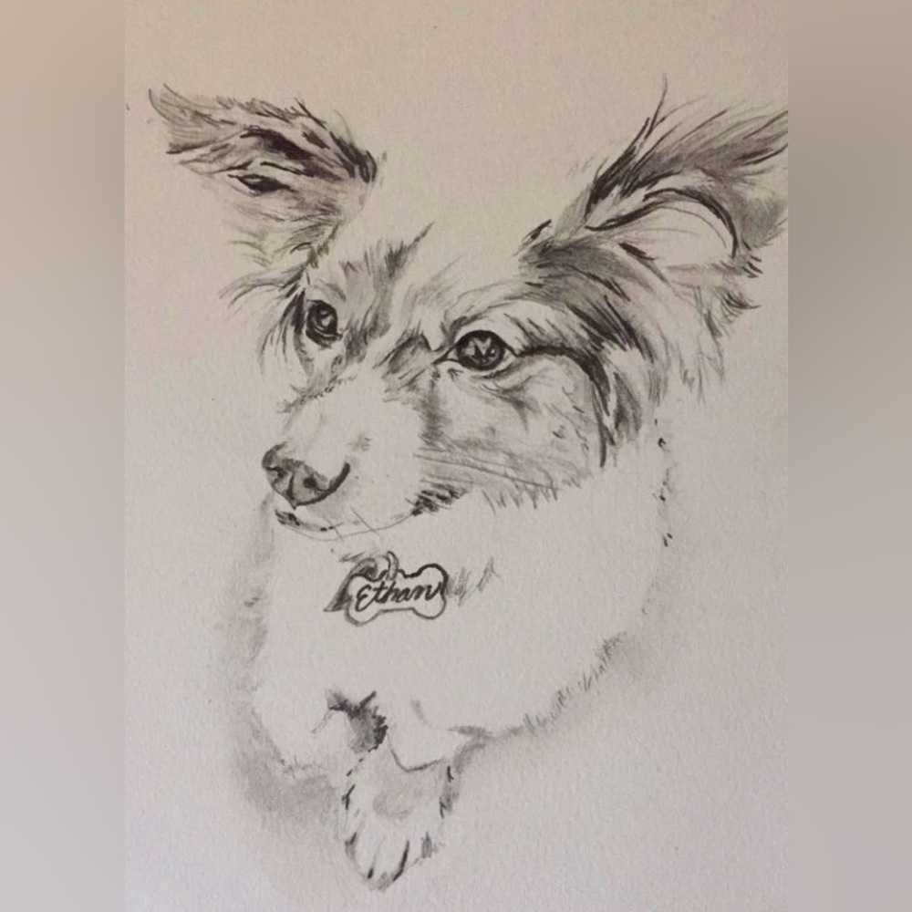 Custom Pet Portraits 🎨🐾
Made Just for You 💕